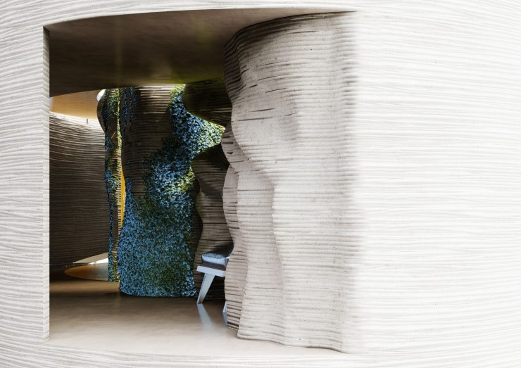 rhizoid - vizualizace 1